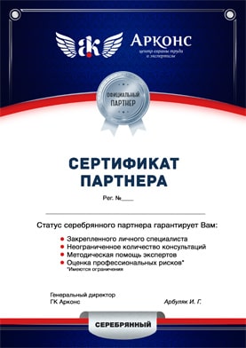 Серебряный сертификат партнера Арконс