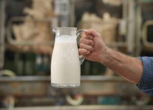 вредные условия труда компенсируются выдачей молока 